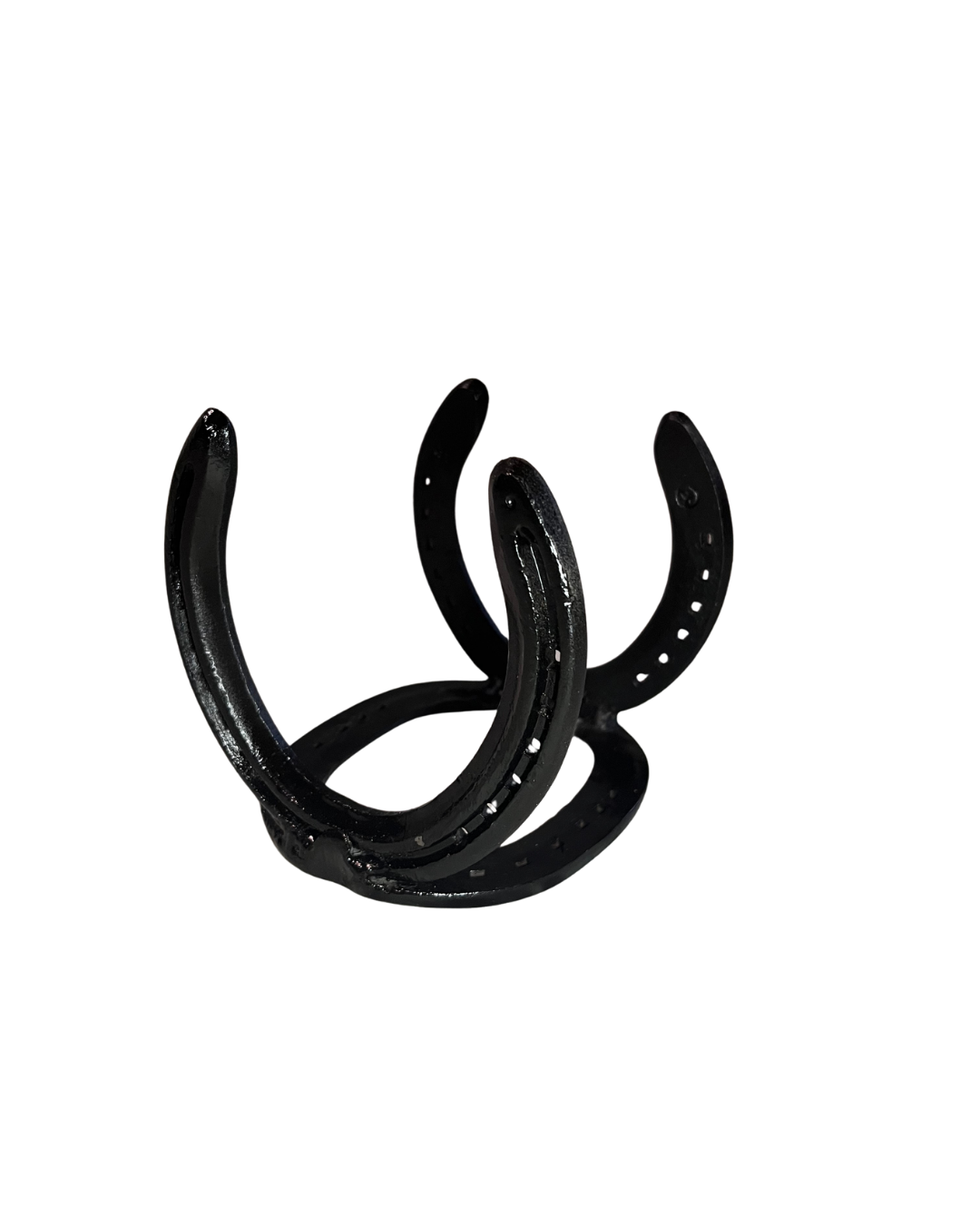Horseshoe Napkin Holder