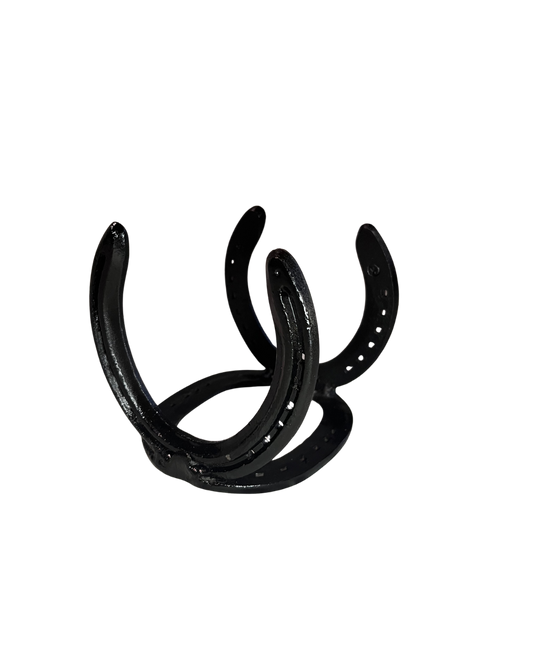Horseshoe Napkin Holder
